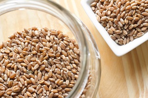 The Great Gluten Panic, Part 1 Image